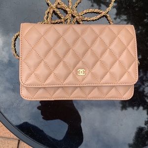 Blush evening bag with gold chain and hardware.